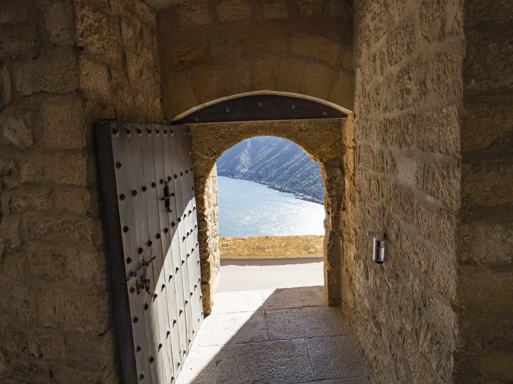 51885090958_fb18d291cb_k